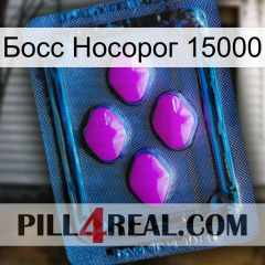 Босс Носорог 15000 04